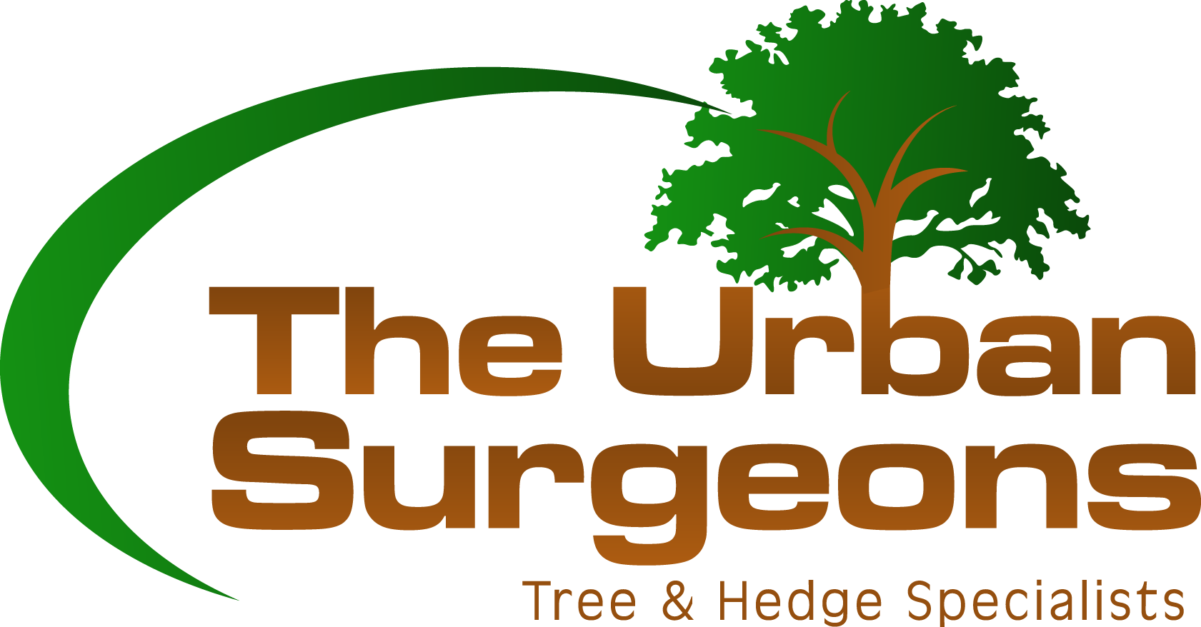 Tree Surgeons Worthing